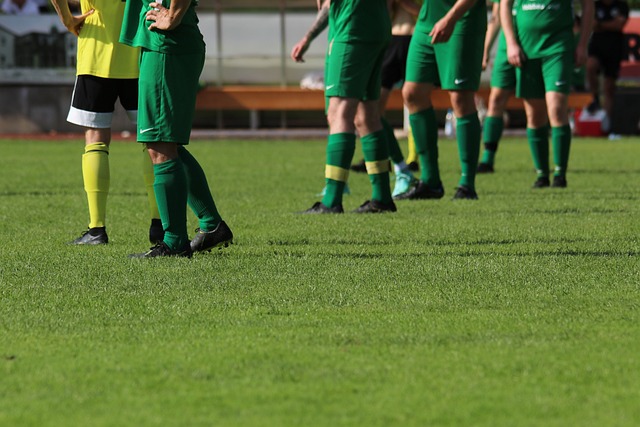 准的一记长 准的一记长