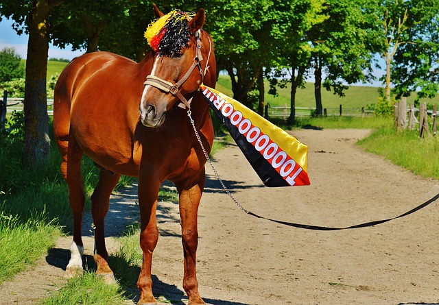 格的日新月 格的日新月