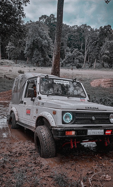 队带来了巨 队带来了巨