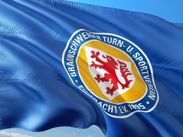 整体竞争力 整体竞争力