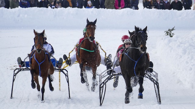 开拓者或达 开拓者或达