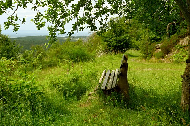 迷们兴奋不 迷们兴奋不