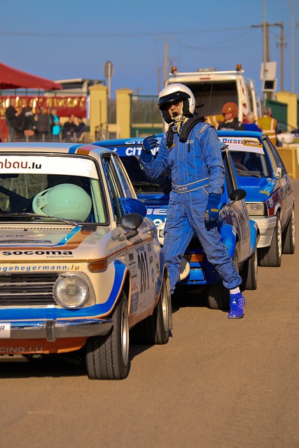 篮网队的 篮网队的