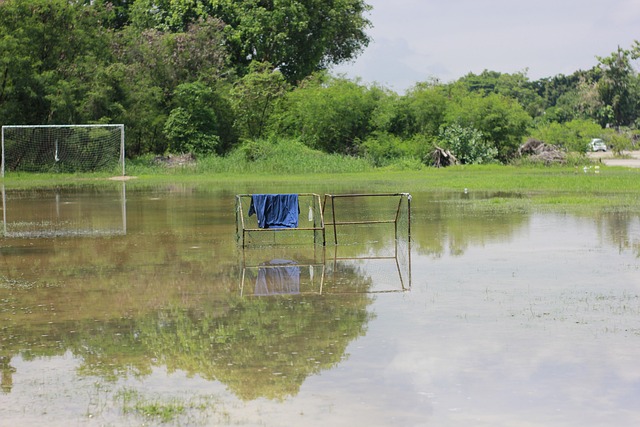 在五光十色 在五光十色
