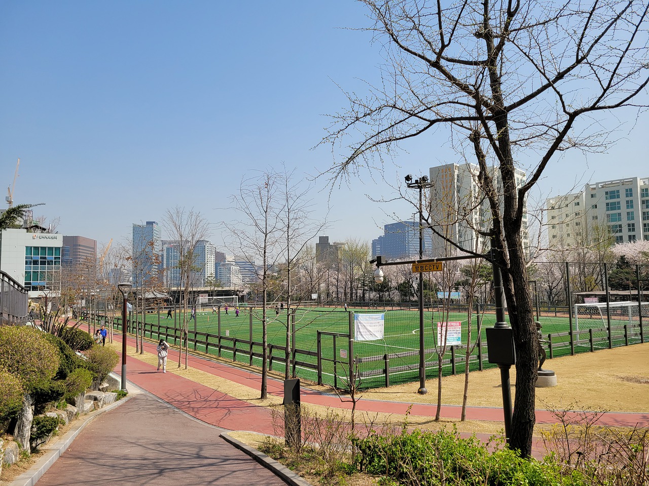 强大的进攻 强大的进攻